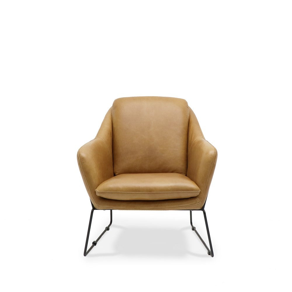 Hugo Leather Armchair - in black and tan